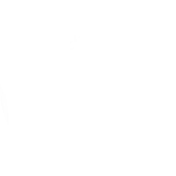 The Website Fixer